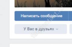 Voice and video calls on VKontakte How to communicate in VKontakte using a camera