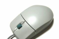 Il mouse non funziona su un laptop: ragioni e soluzioni