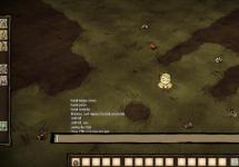 Console Commands in Don't Starve